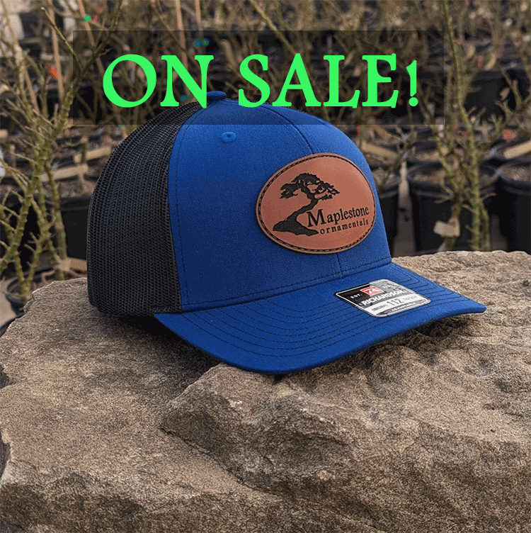 Richardson 112 Hat - Royal Blue/Black/Leather Patch