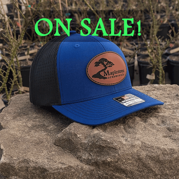 Richardson 112 Hat - Royal Blue/Black/Leather Patch