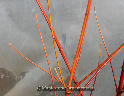 Powered Gas 燃える樹 Log Beam Full – Splitter 絵画