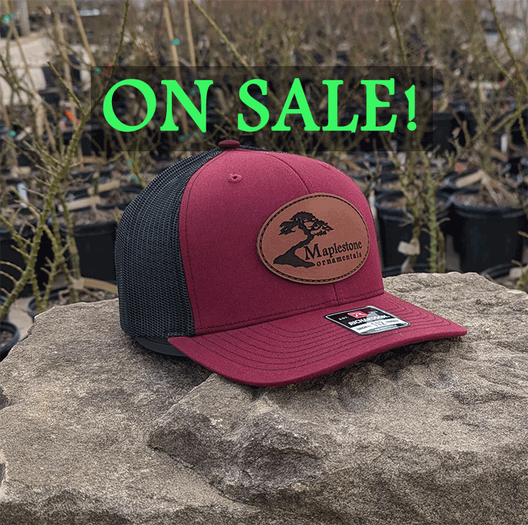 Richardson 112 Hat - Cardinal/Black/Leather Patch