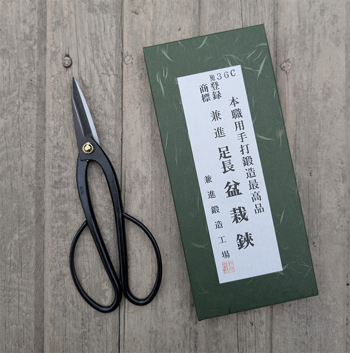 Bonsai Scissors Large