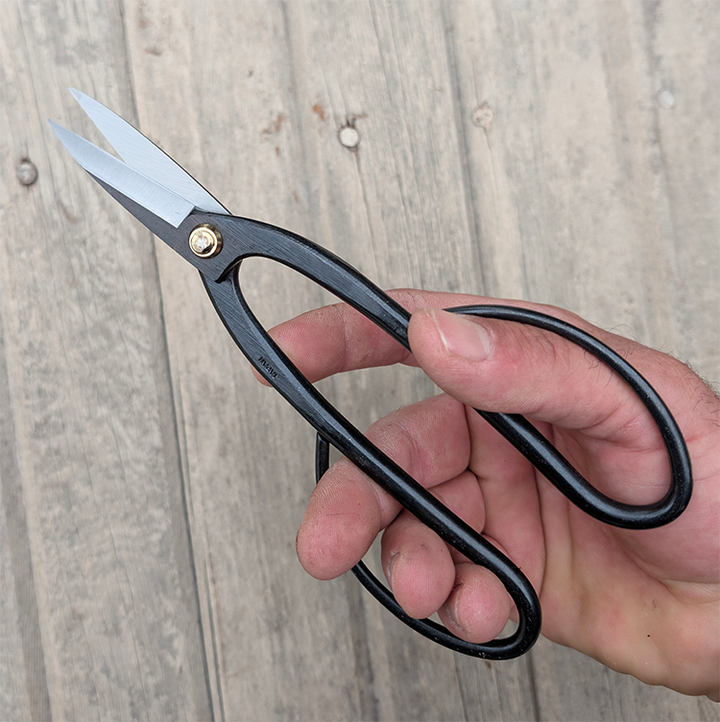 Bonsai Scissors Large