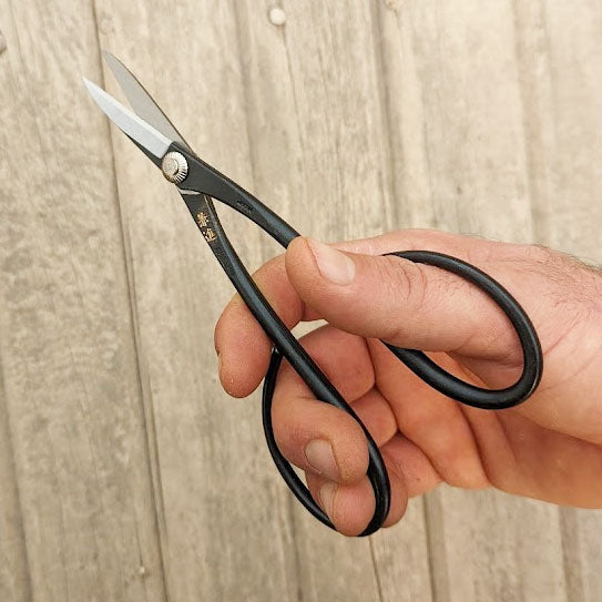 Trimming Scissors