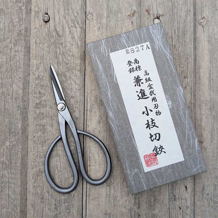 SS Trimming Scissors Small