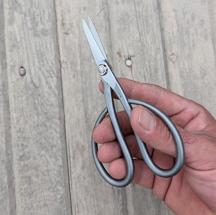 SS Trimming Scissors Small