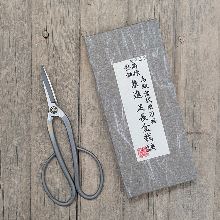 SS Bonsai Scissors