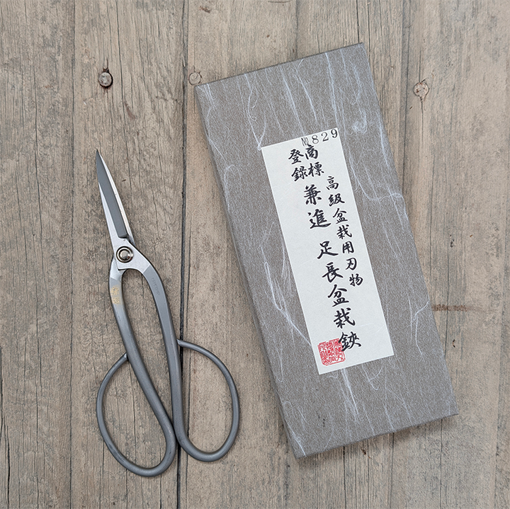 SS Bonsai Scissors