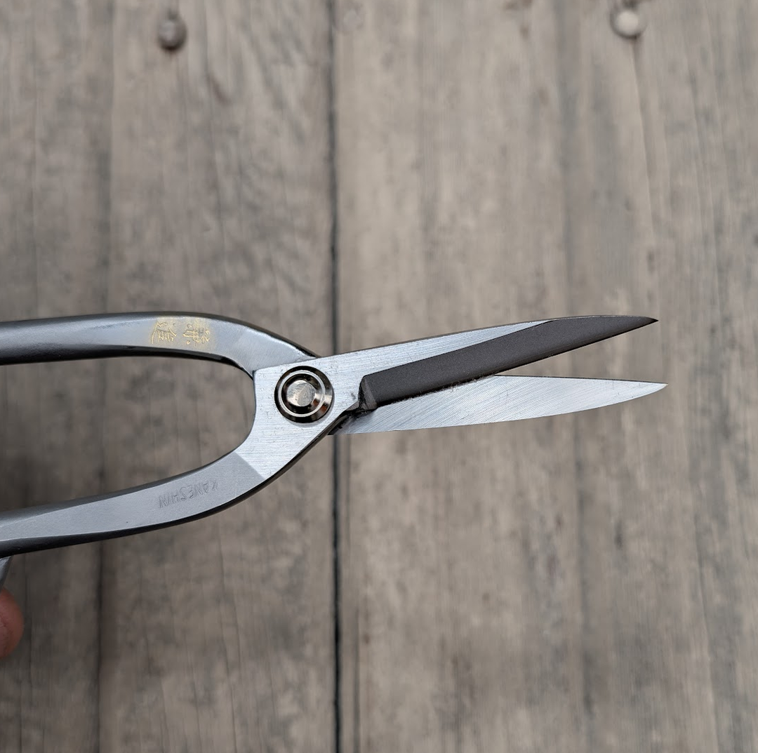 SS Bonsai Scissors