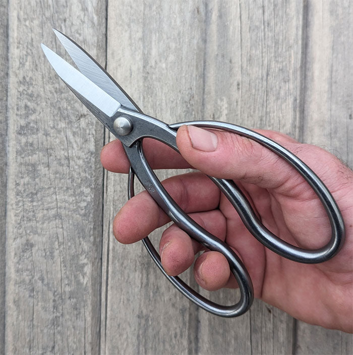 SS Bonsai Scissors – Maplestone Ornamentals