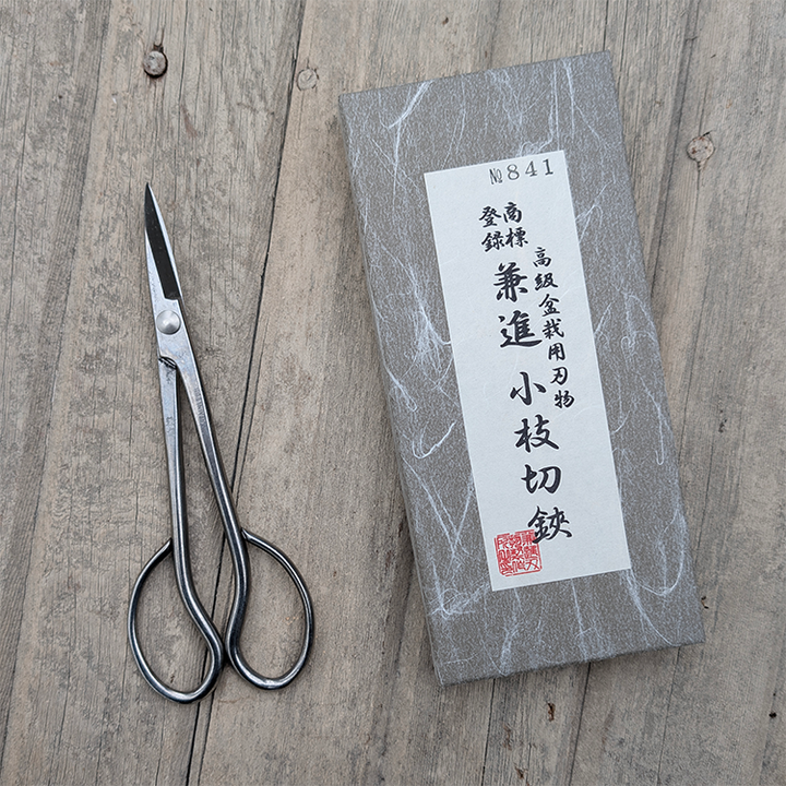 SS Trimming Scissors