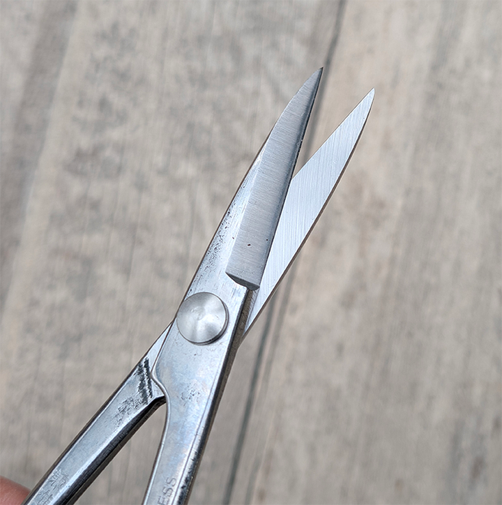 SS Trimming Scissors