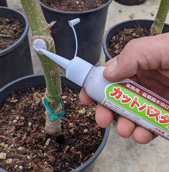 Pruning Sealer